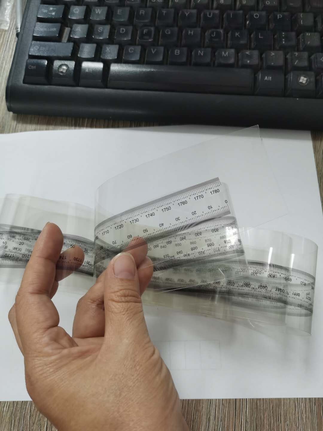菲林 (6)